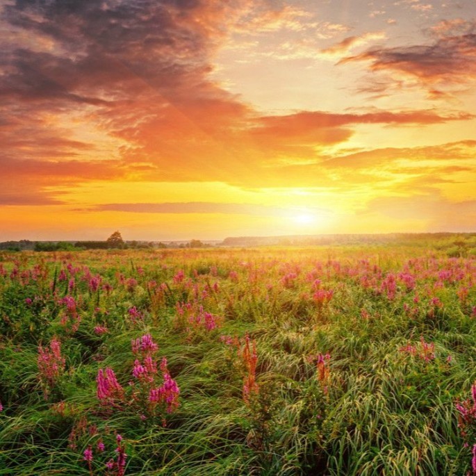 Preparation and Perseverance Pay Off