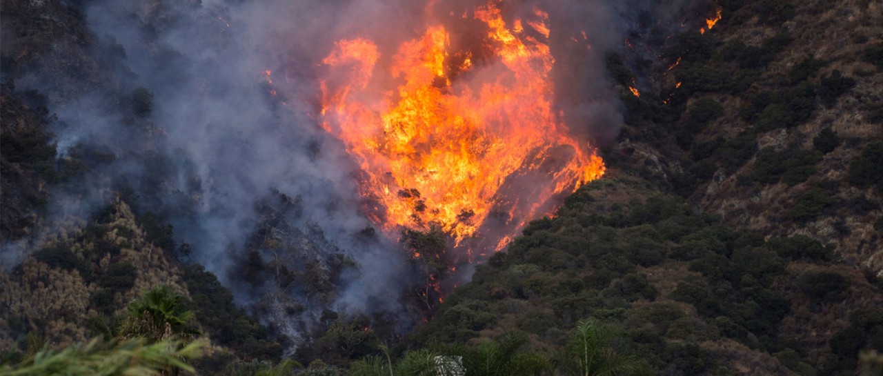 dialysis-during-disaster-banner